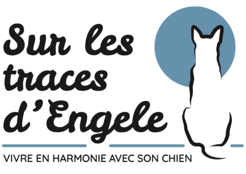 Logo Sur Les Traces d'Engele